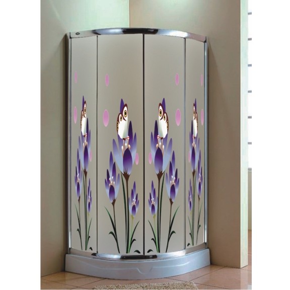 shower screen with decorative design